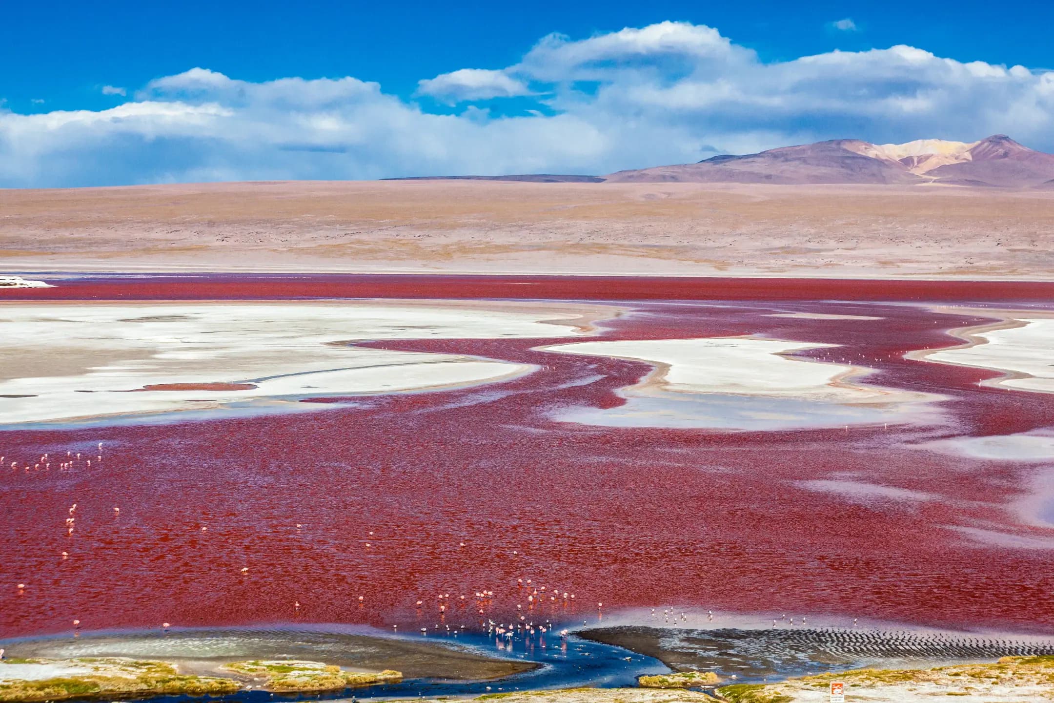 Laguna Colorada com faixas de cor